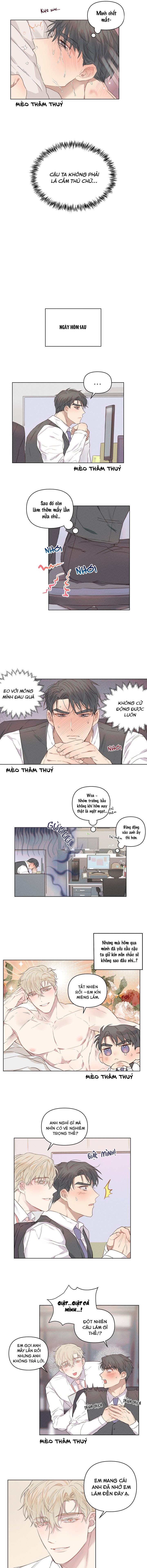 nơi tình yêu định mệnh chapter 5 4