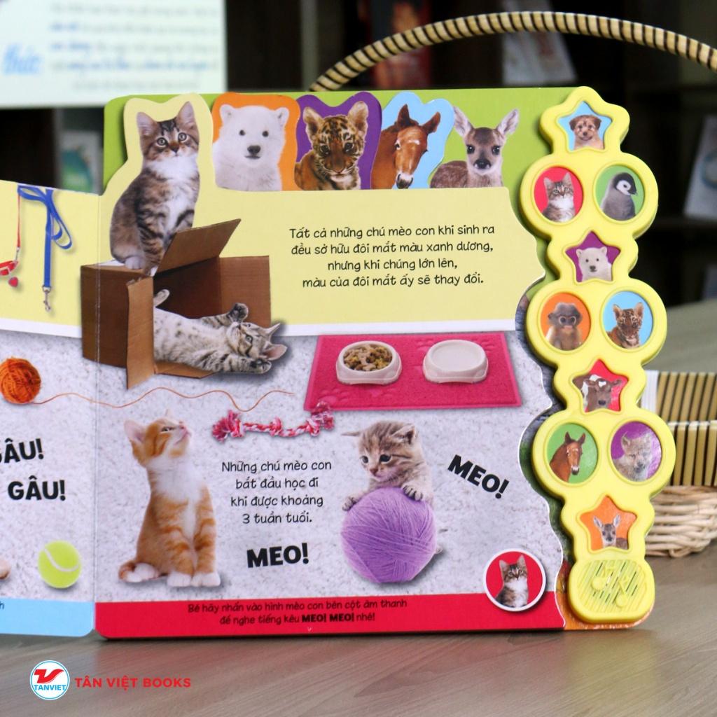 Động vật bé con  - Bản Quyền