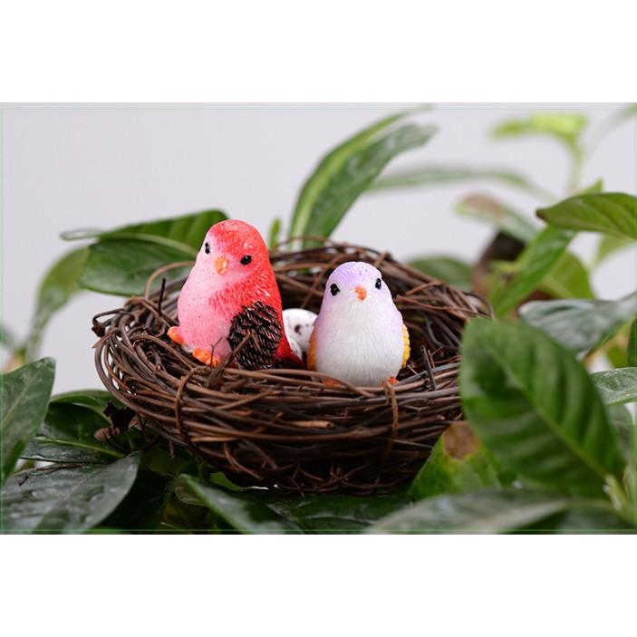 KHO-HN * Mô hình chim sẻ nhiều màu trang trí tiểu cảnh, bonsai, DIY
