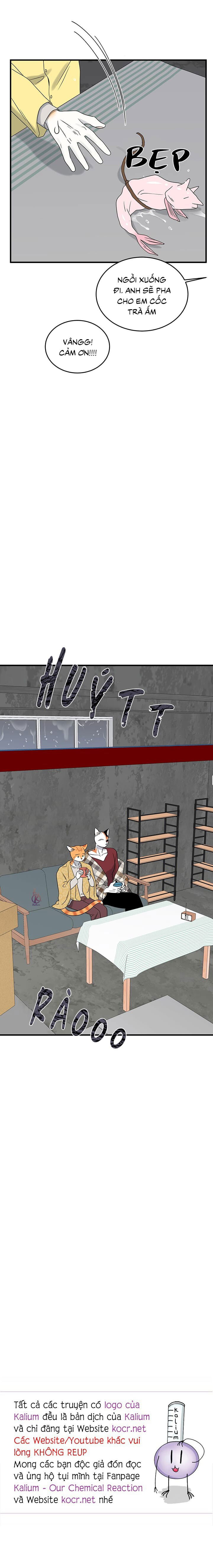 dự án xanh chapter 46 18