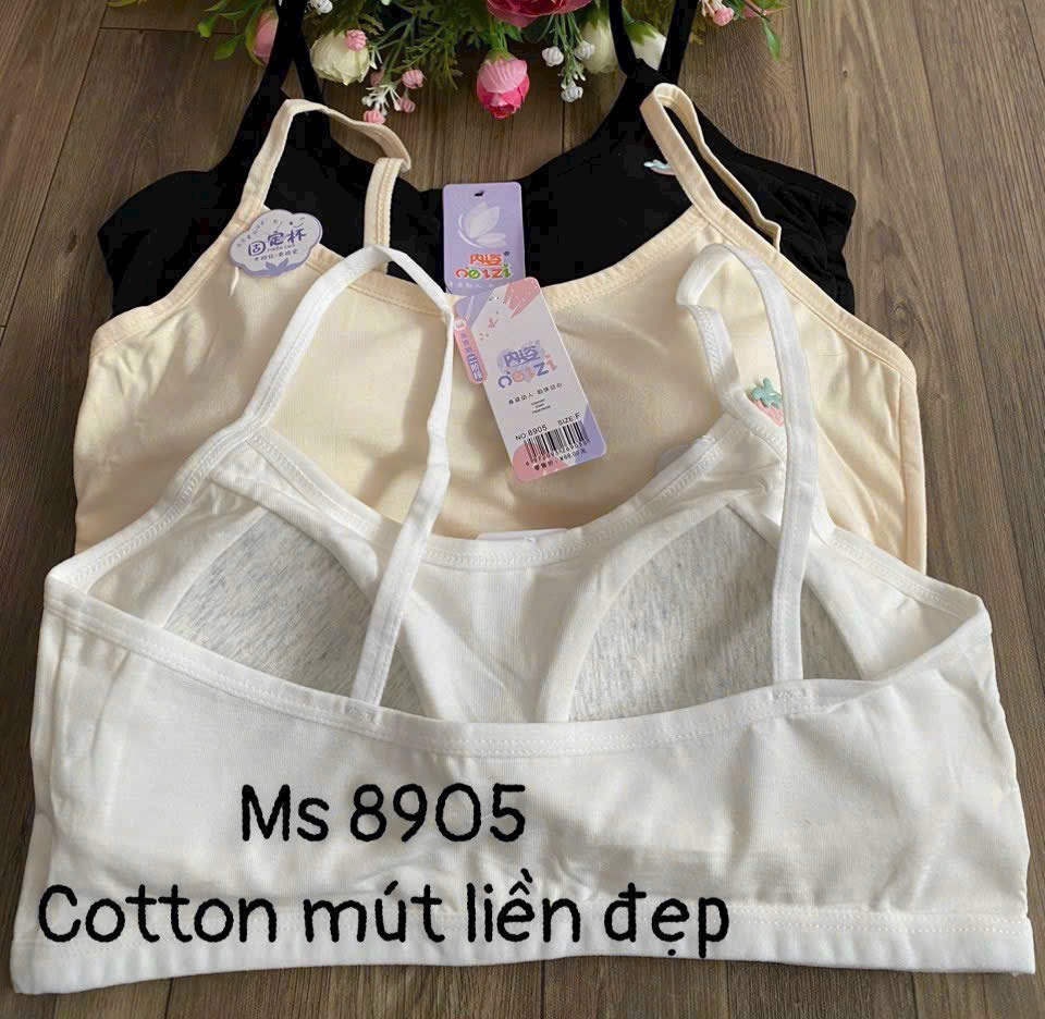 Áo lá học sinh cho bé cotton co dãn thấm hút tốt kèm mút lót nhiều mẫu