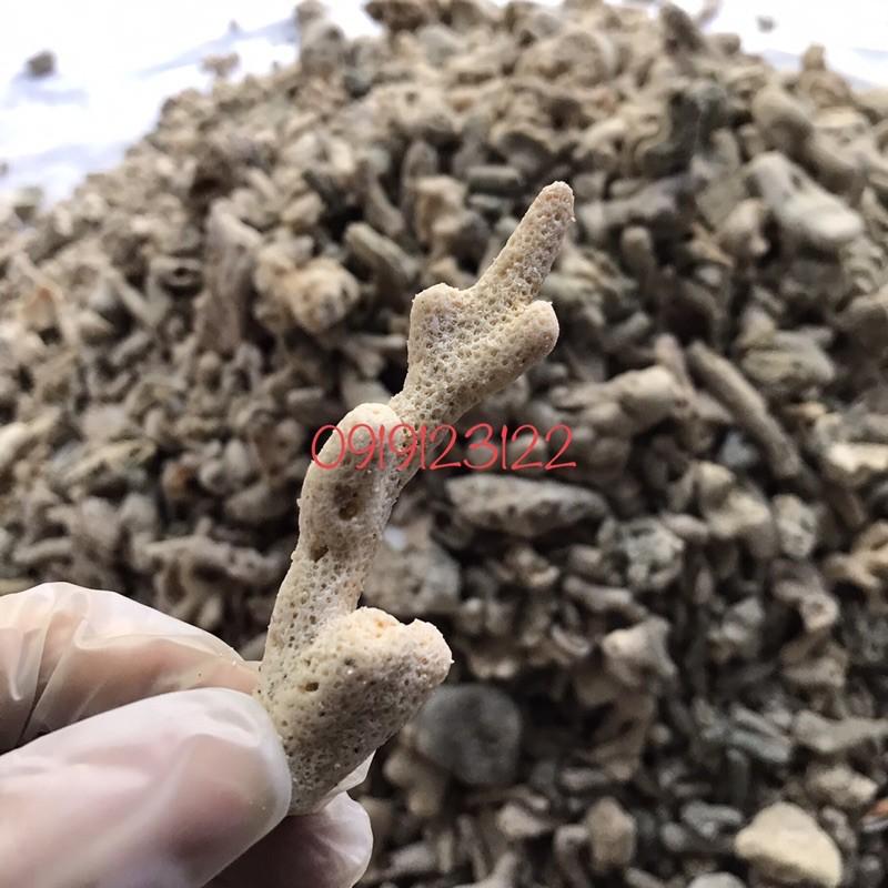 San hô vụn lọc nước cho hồ cá gói 1kg