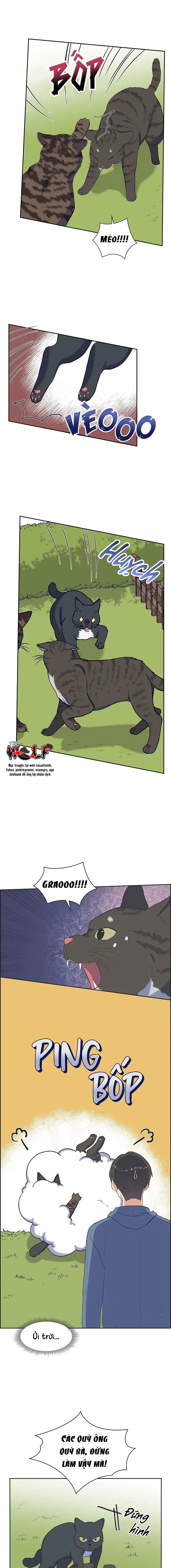 người tình, mèo và kẻ sát nhân chapter 3 7