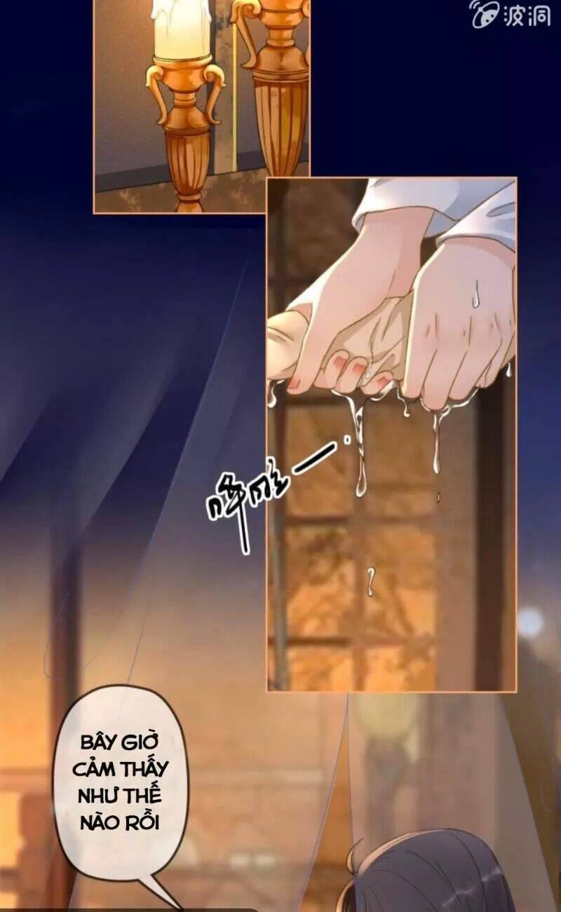 sủng phi của vương chapter 153 8