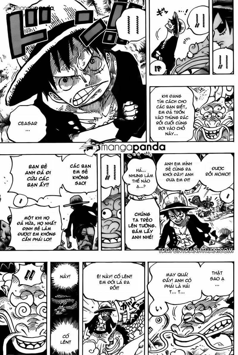 đảo hải tặc - one piece chapter 685 14
