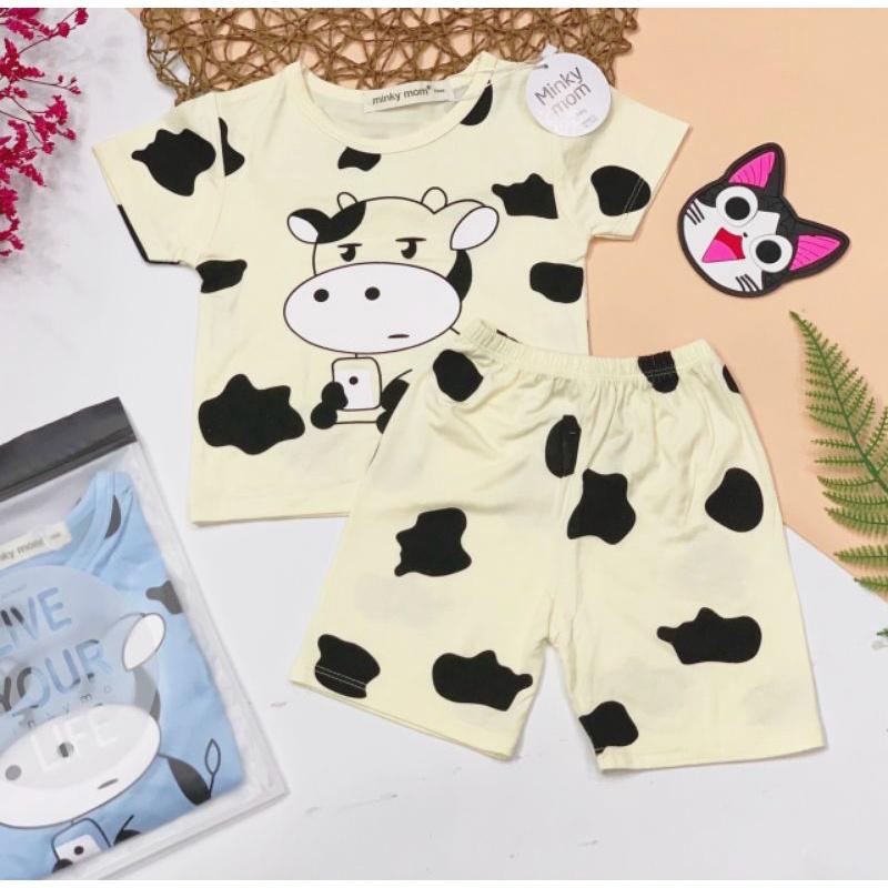 BỘ CỘC BÒ THUN LẠNH MẪU MỚI