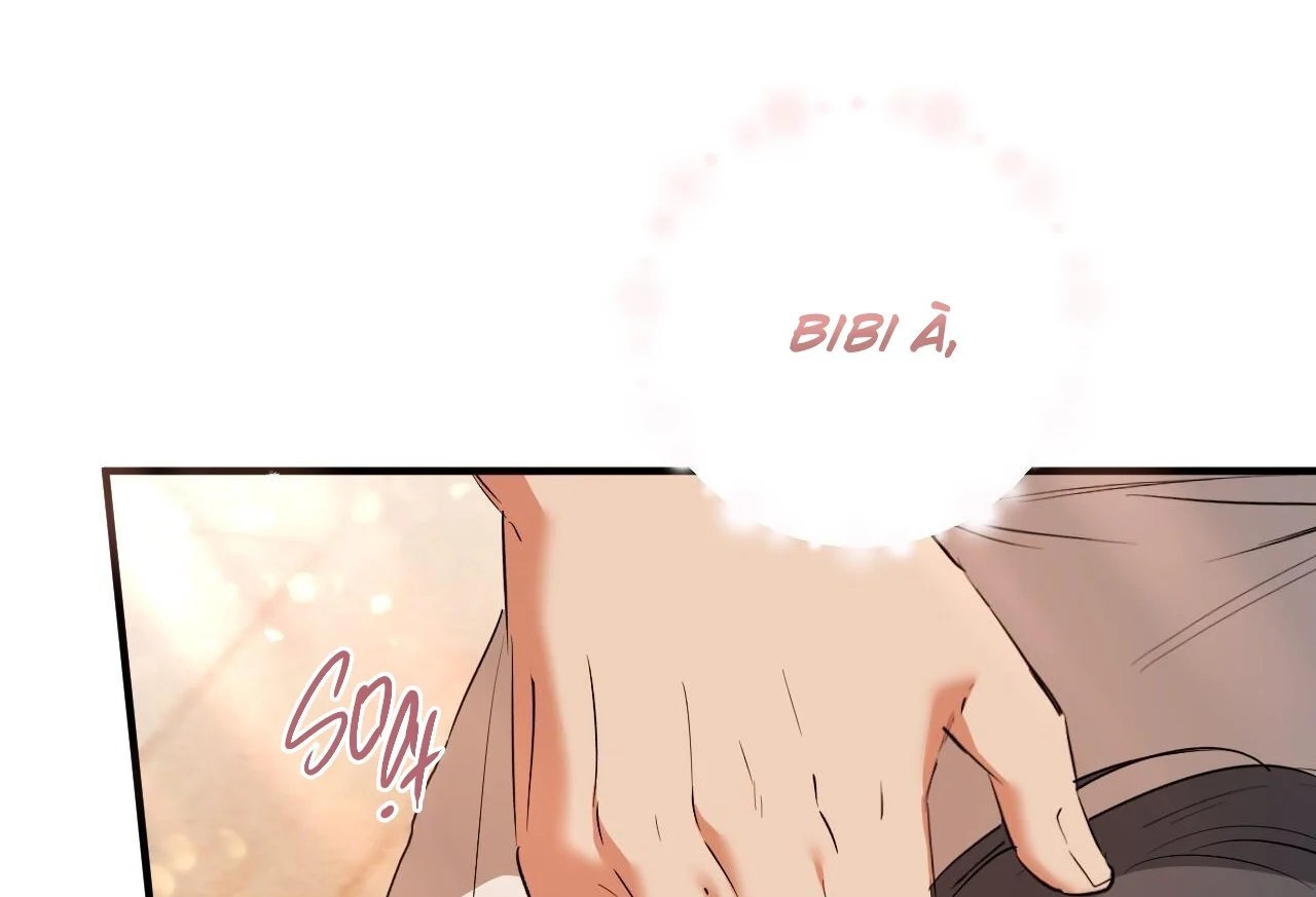 những chú thỏ của hapypy chapter 65 8