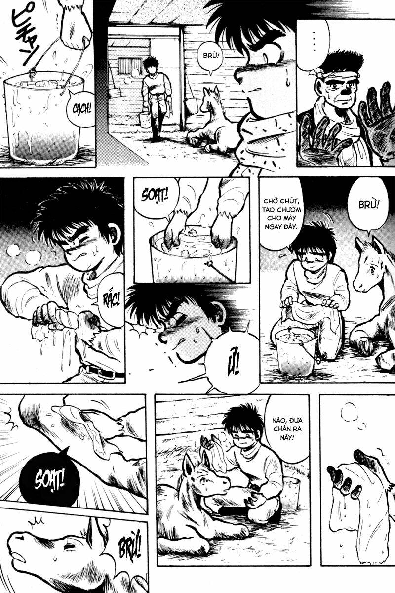 kaze no sylphid - phong mã silphid chapter 3 6