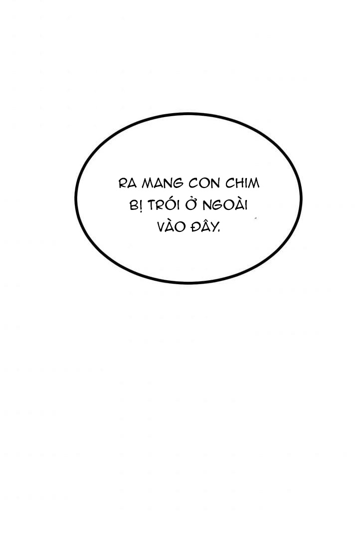 công chúa của loài chim chapter 4 43