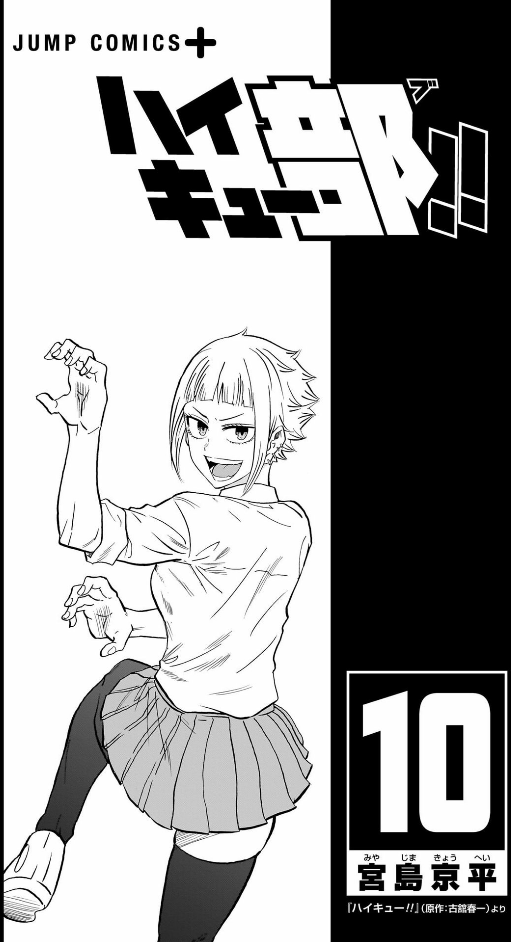 Sách ngoại văn: ハイキュー部!! 10 - Haikyu-bu!! 10