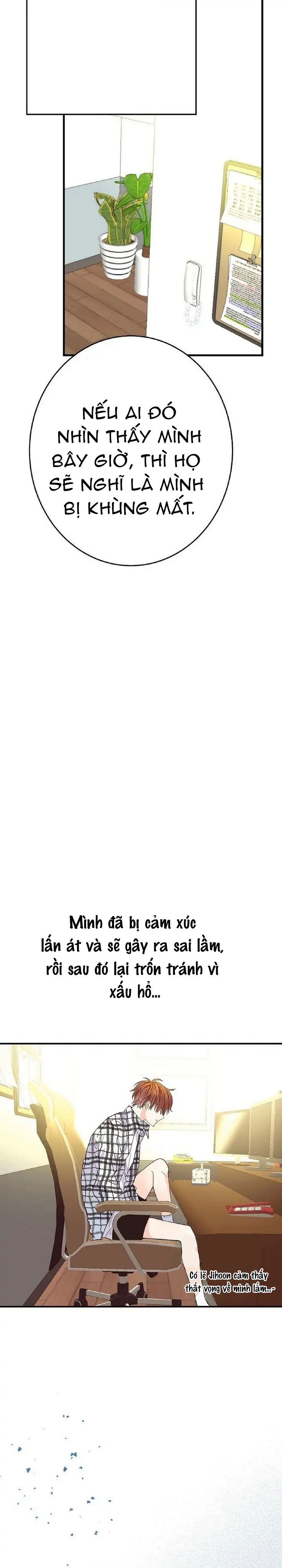 mối quan hệ phù hợp chapter 14 20