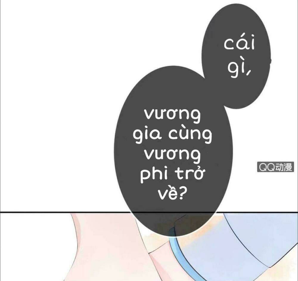 sủng phi của vương chapter 10 19
