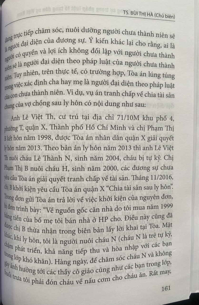 Người Đại Diện Của Dương Sự Trong Pháp Luật Tố Tụng Dân Sự Việt Nam