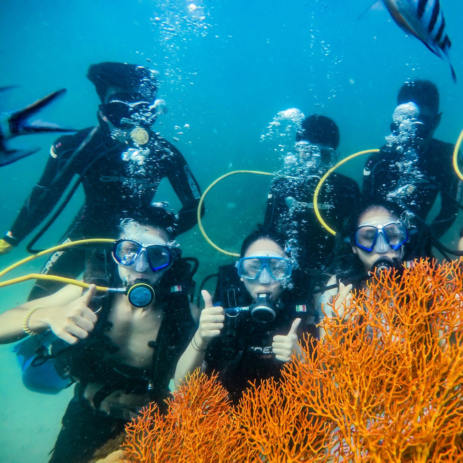 Combo đi bộ dưới đáy biển, Cano đưa đón, quay phim, chụp ảnh -Gói tiêu chuẩn