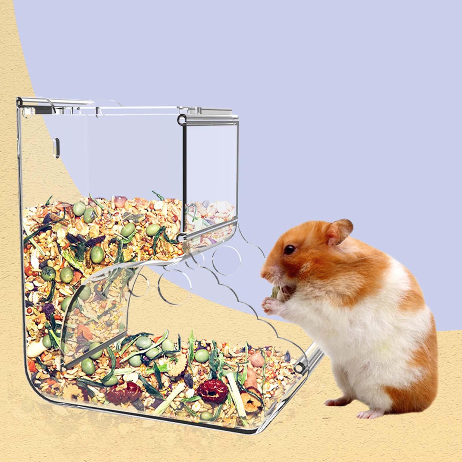 Automatic Hamster Feeder Dwarf Acrylic Birds Transparent Guinea Pig Feeding