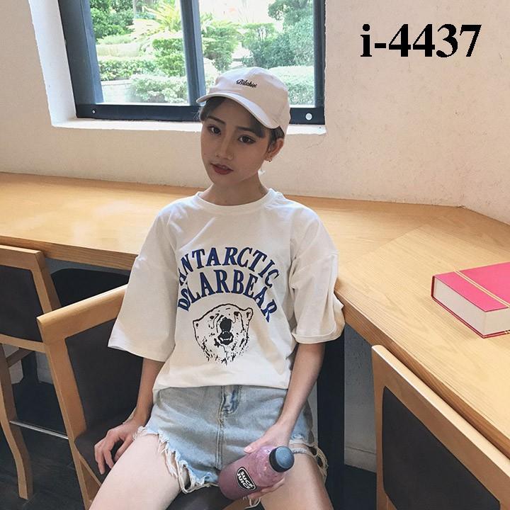 Áo Thun Nữ Rộng Gấu Tuyết Hàn Xẻng - I4437