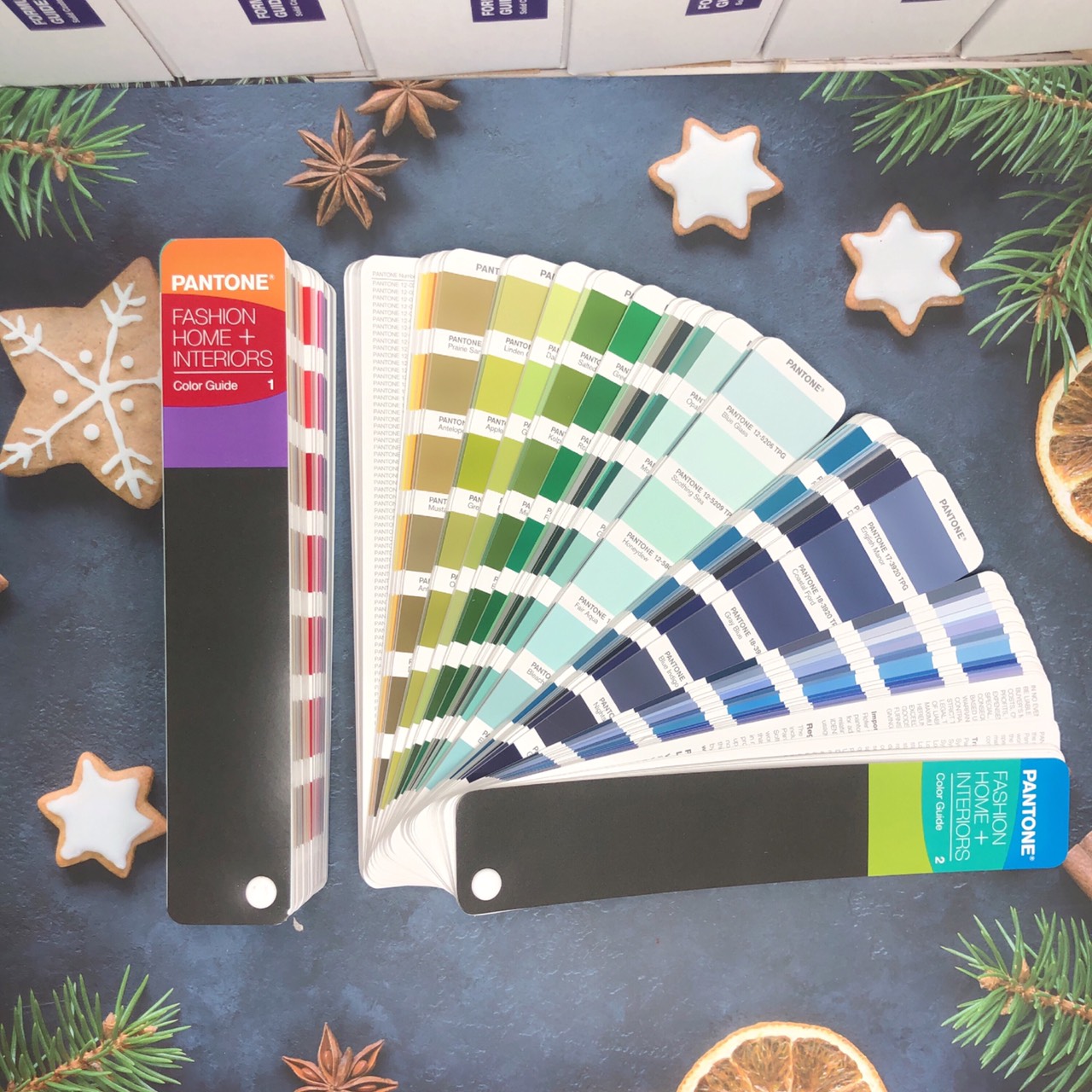 Bộ 2 thanh Bảng màu Pantone TPG FHIP110A 2020 Fashion Home Interiors chính hãng PANTONE LLC nhập khẩu từ USA - 2625 màu TPG dành cho ngành thời trang, nhà ở, nội thất