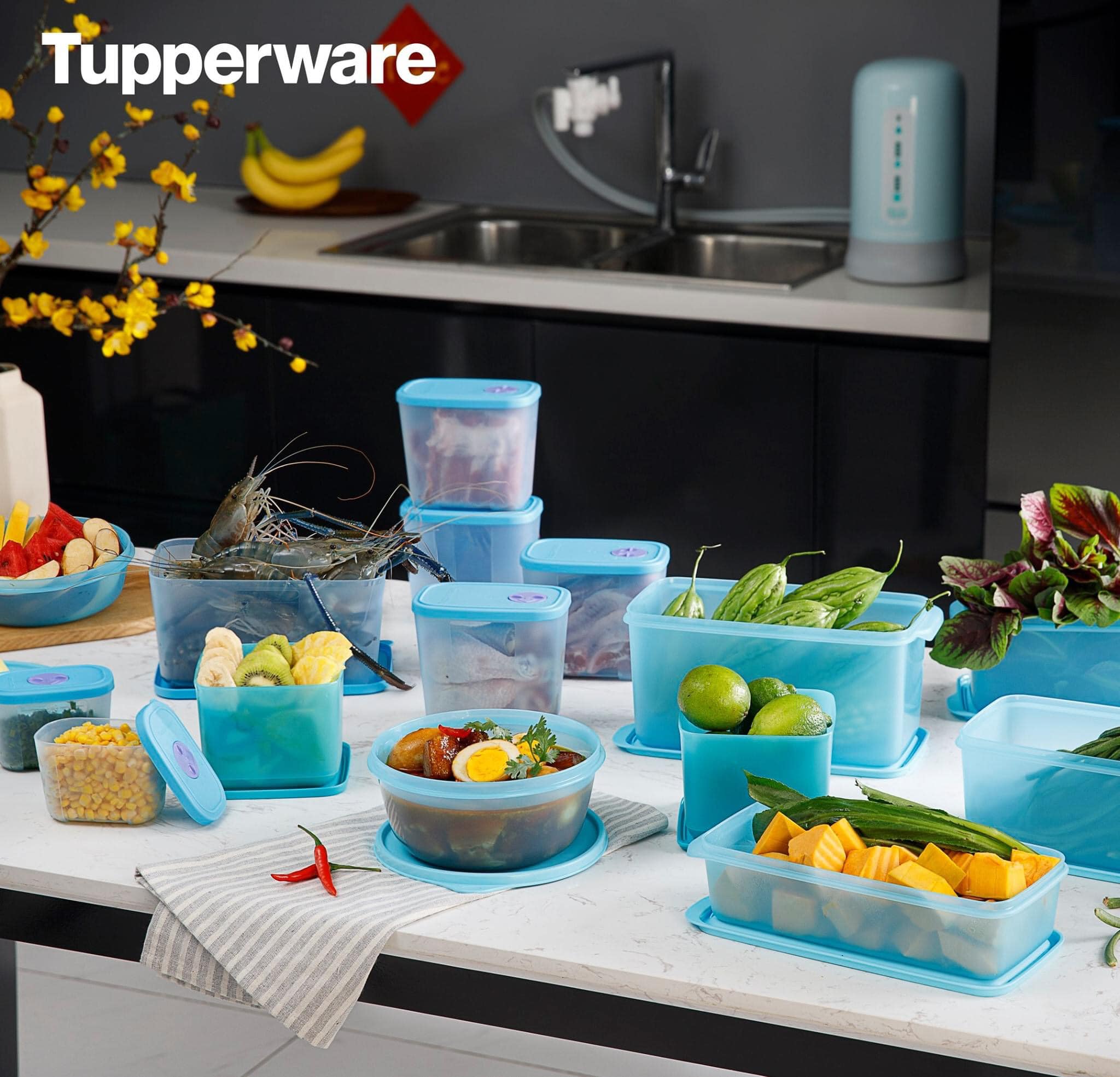 BỘ HỘP TRỮ MÁT &amp; TRỮ ĐÔNG BLUE OCEAN SET 15 TUPPERWARE CHÍNH HÃNG