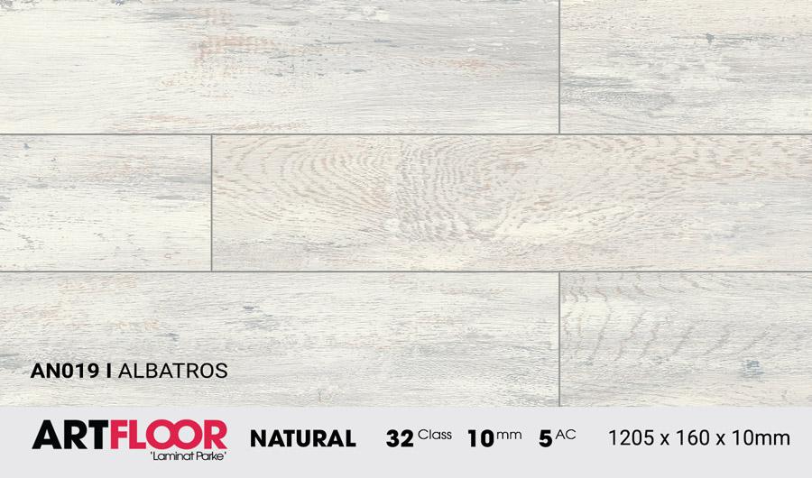 Sàn Gỗ Công Nghiệp  Artfloor Natural Artfloor AN019 - Albatros - 10mm - AC5