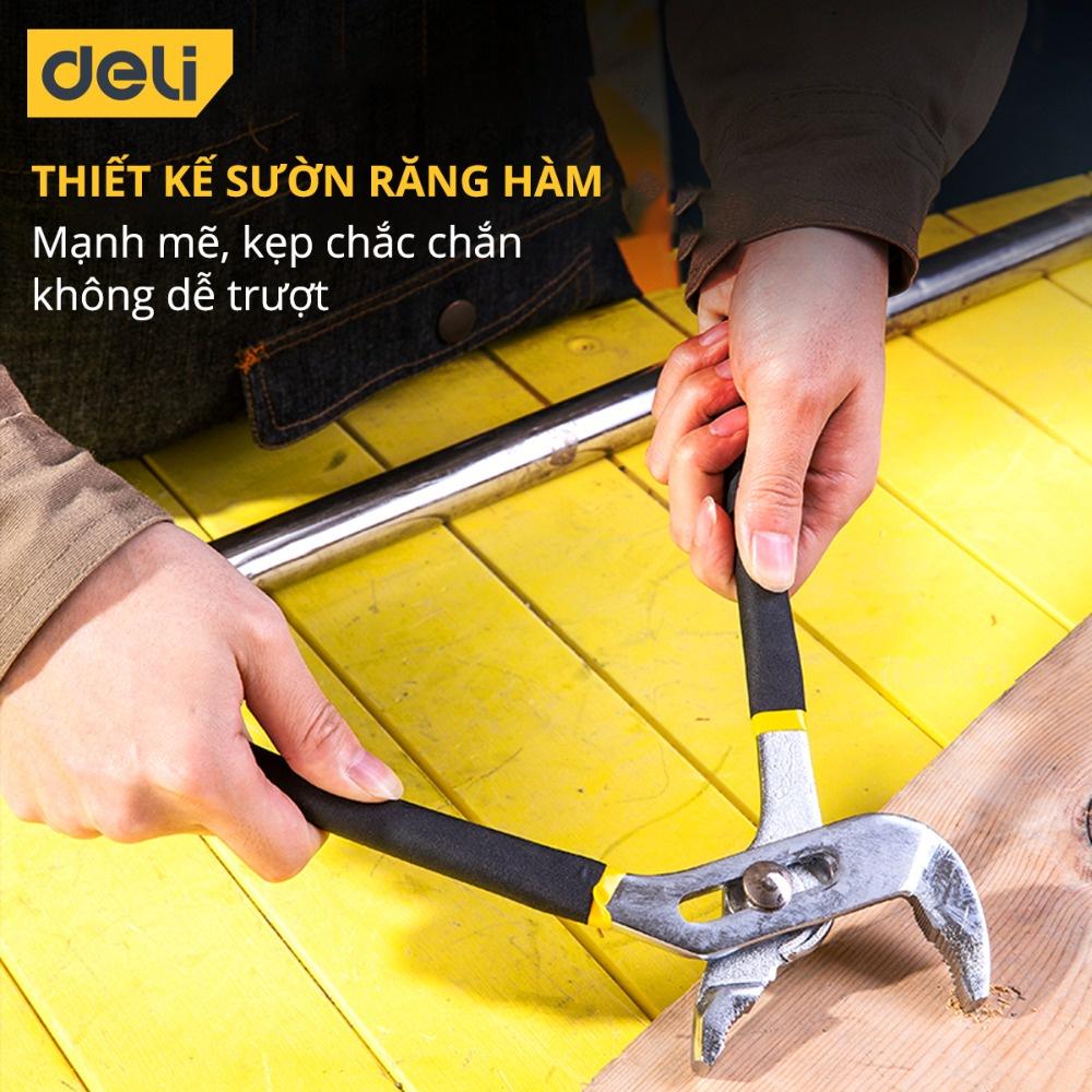 Kìm Mỏ Quạ Deli 10 Inch Cao Cấp - Giúp Giữ, Kẹp, Cắt Vật Dụng, Dành Cho Thợ Điện Nước Chuyên Nghiệp - DL2610