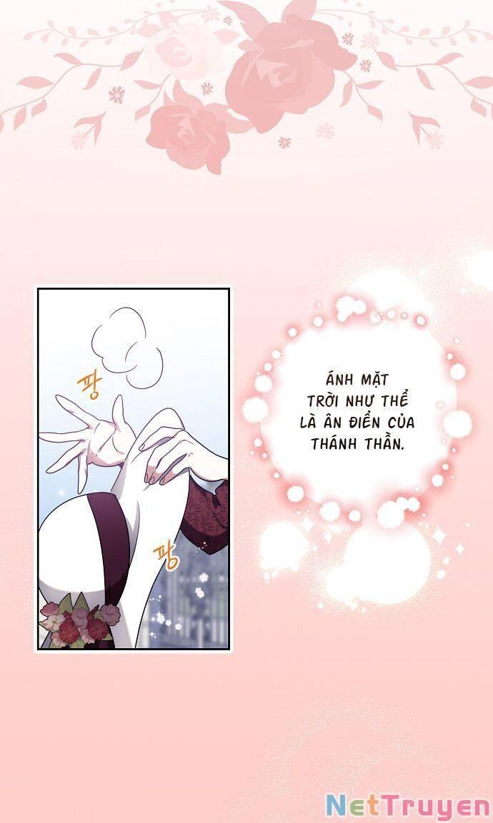 cuộc sống giản dị của người độc thân bị bỏ rơi chapter 1 67