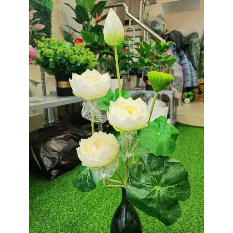 Cành sen giả,sen thái cánh kép cao 77cm,lụa cao cấp, lá in 3D-hoaluaminhhoa