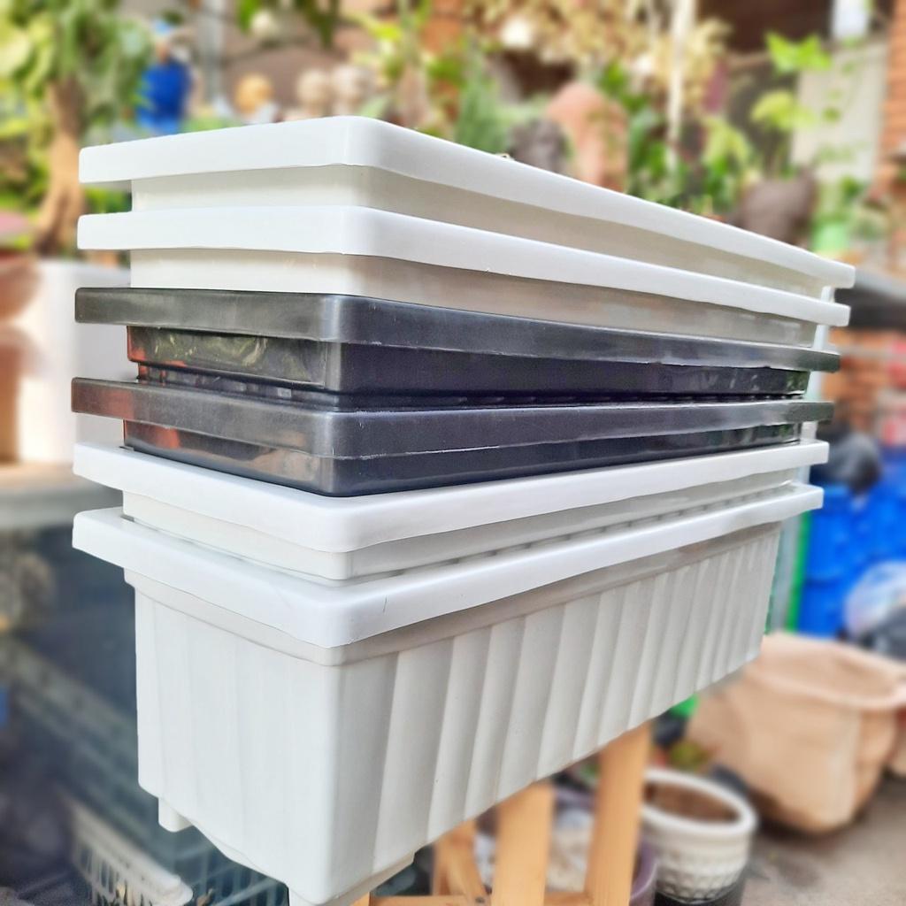 Khay chữ nhật/Chậu chữ nhật thông dụng trồng hoa, rau kích thước 65*25*20cm