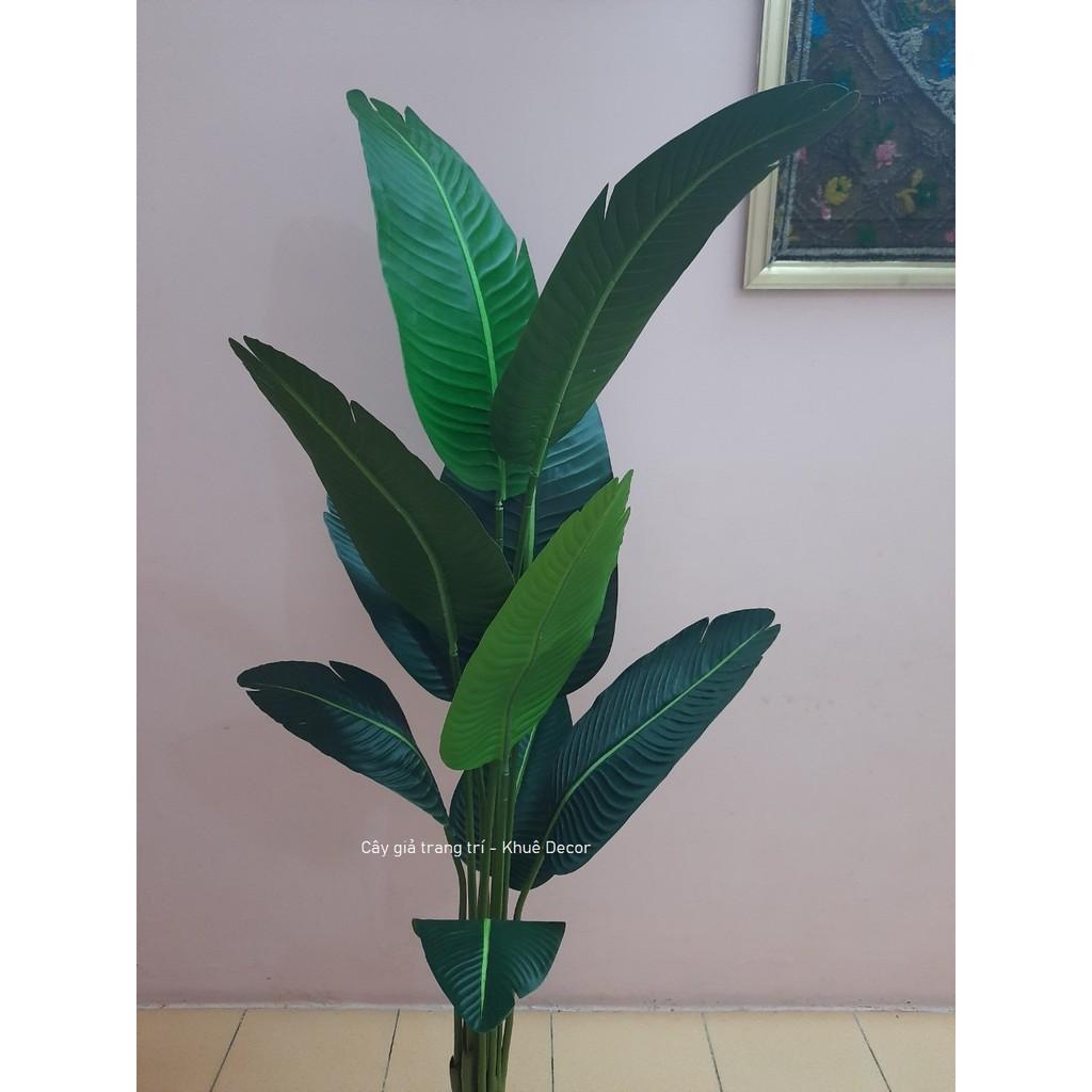 Cây chuối giả 1m6 cao cấp kèm chậu cói