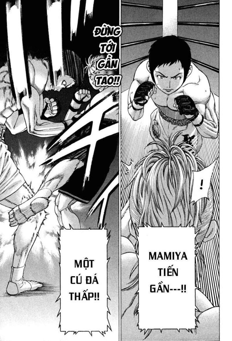 karate shoukoushi kohinata minoru chapter 190 11