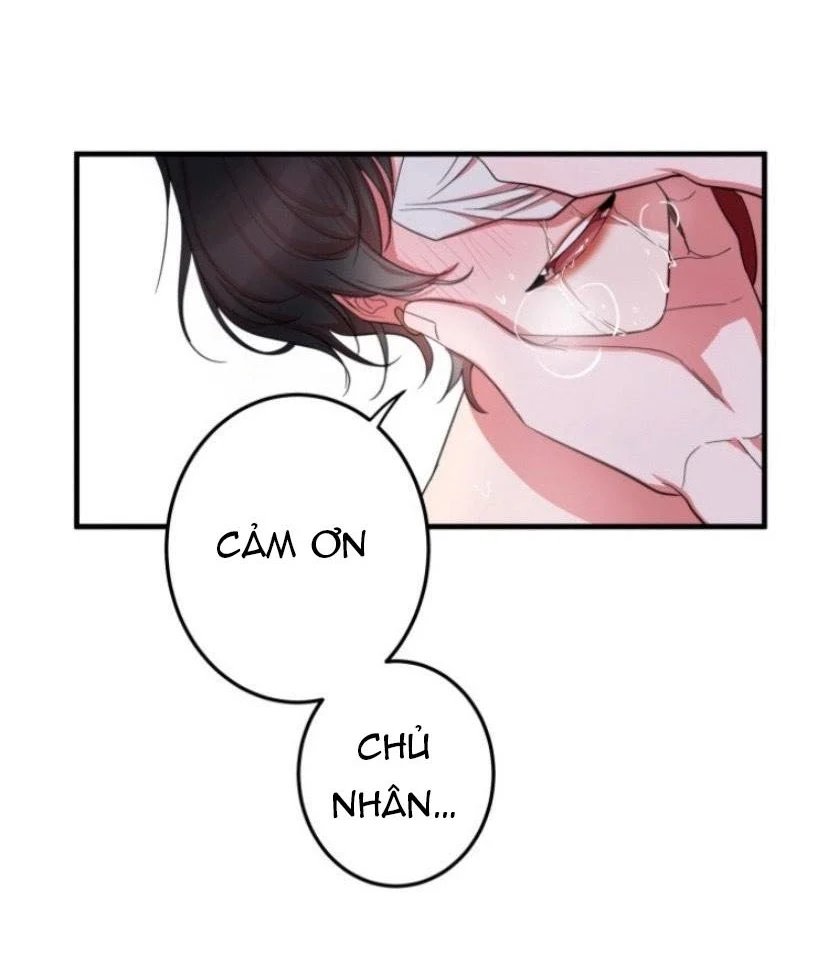 người tình dâm đãng của tôi chapter 4 49