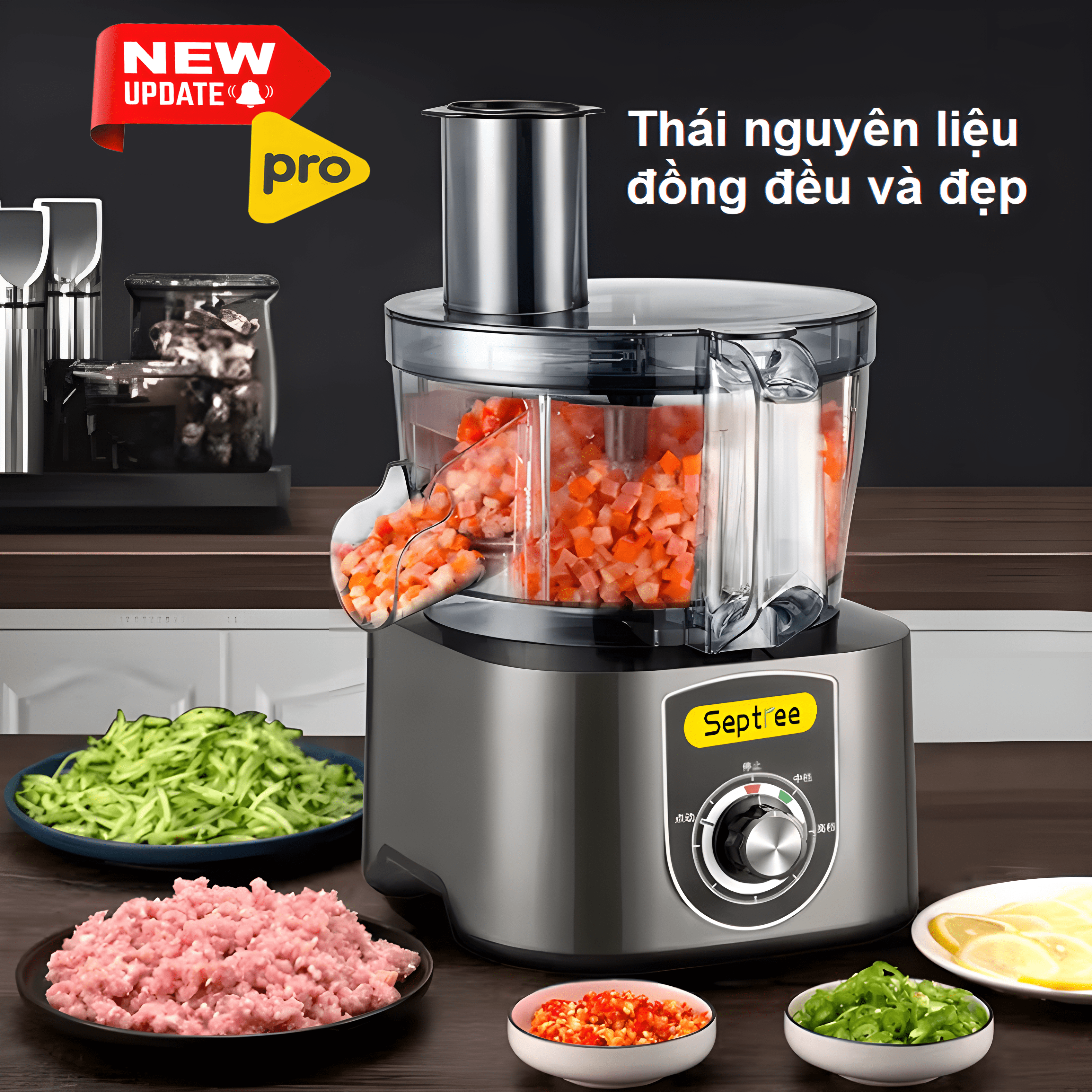 Máy thái rau củ quả đa năng chuyên nghiệp thương hiệu Septree ANS-A5, công suất 600W - Hàng Chính Hãng