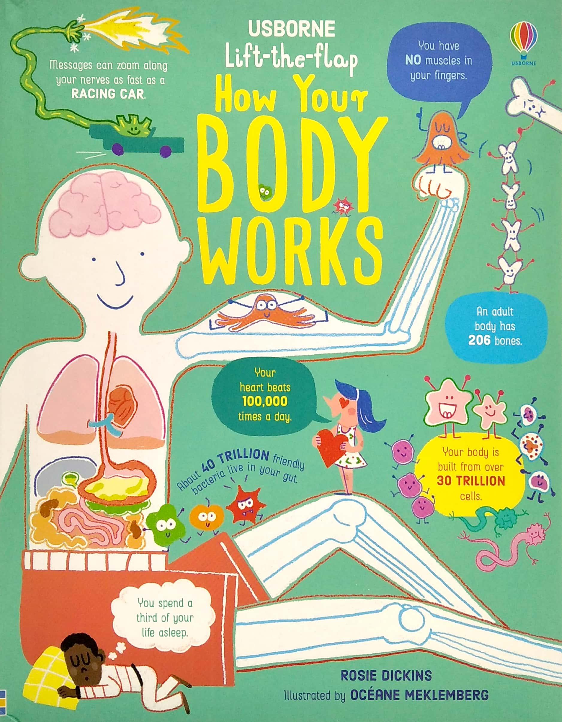 Sách ngoại văn: Lift-the-flap How Your Body Works