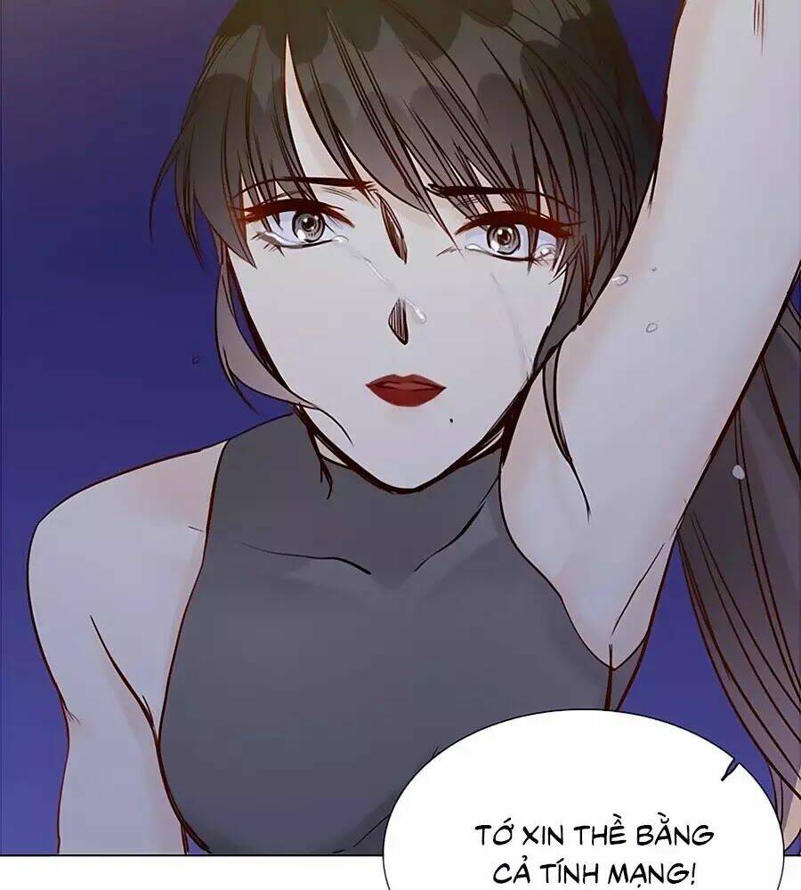 ngôi sao vụn vỡ chapter 48 40