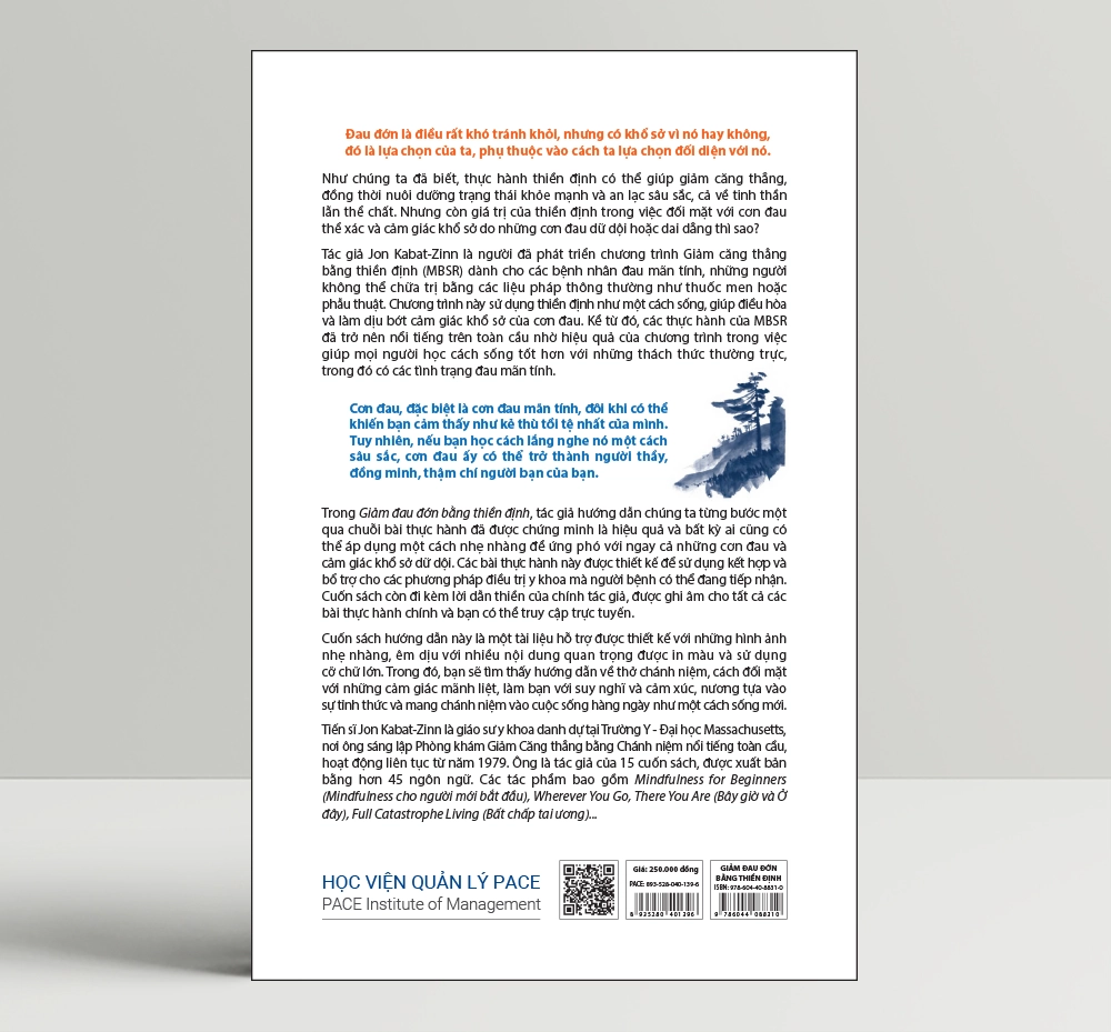 Sách - Giảm đau đớn bằng thiền định (Mindfulness Meditation for Pain Relief) - Jon Kabat-Zinn - IRED Books