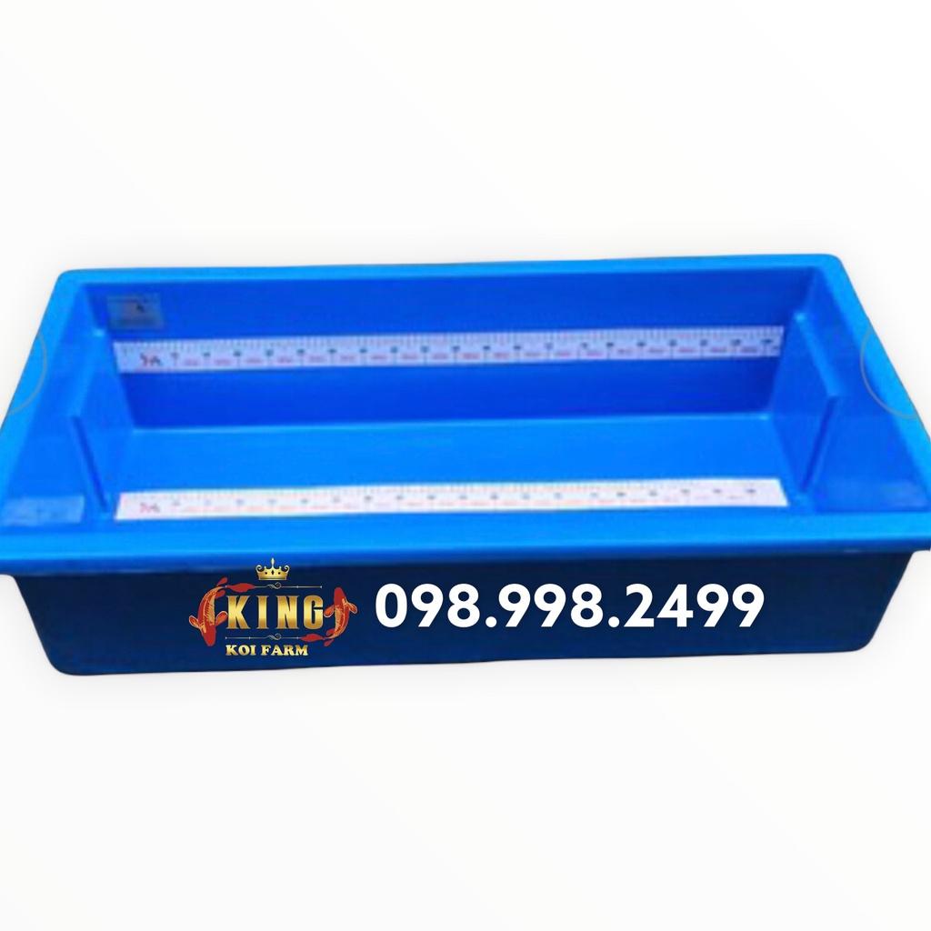 Thước đo cá koi  DECAL kt 110cm x 6cm