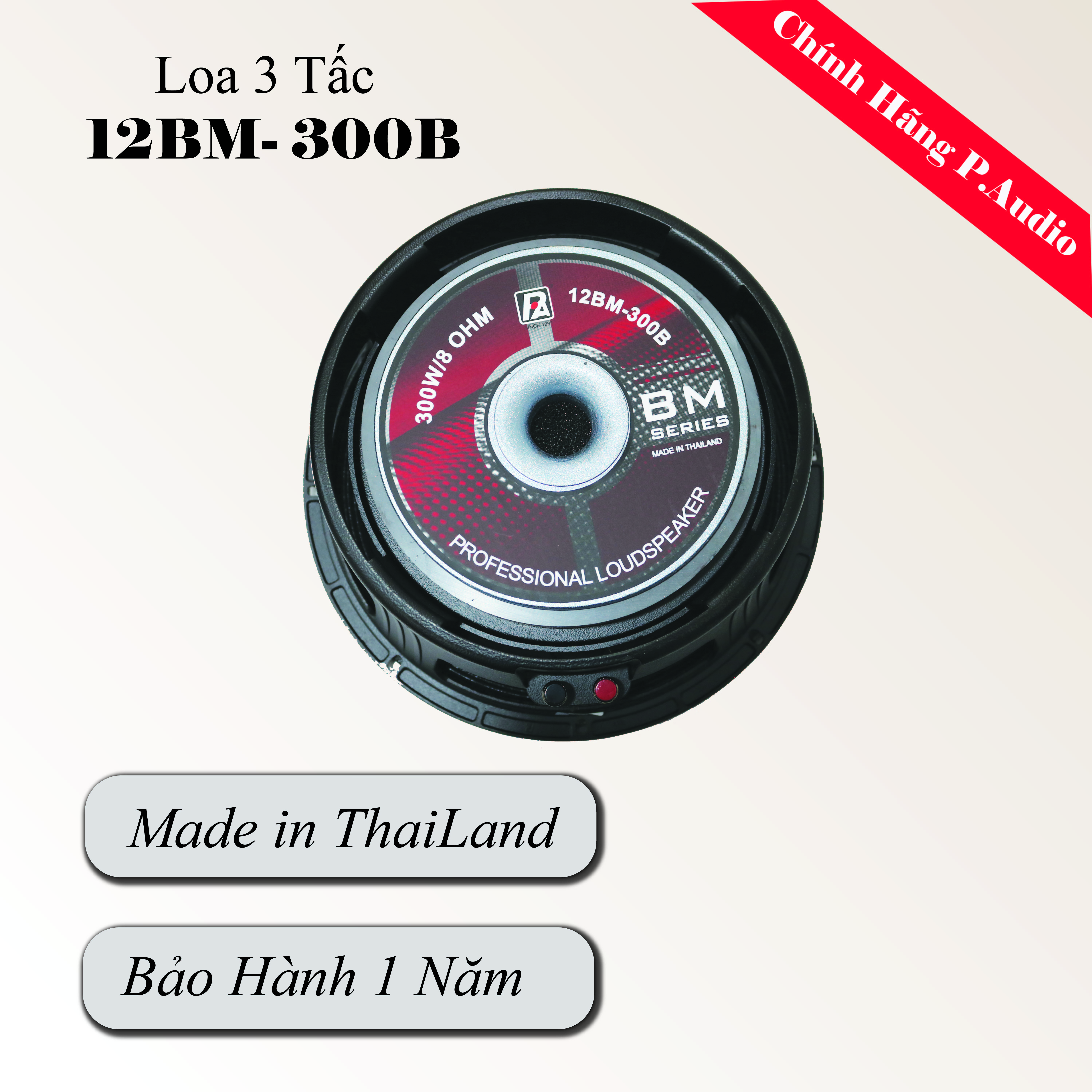 Loa Đơn P.Audio 12BM -300B Ba Tấc - Hàng Chính Hãng
