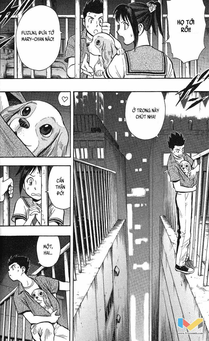 animal sense chapter 5 45