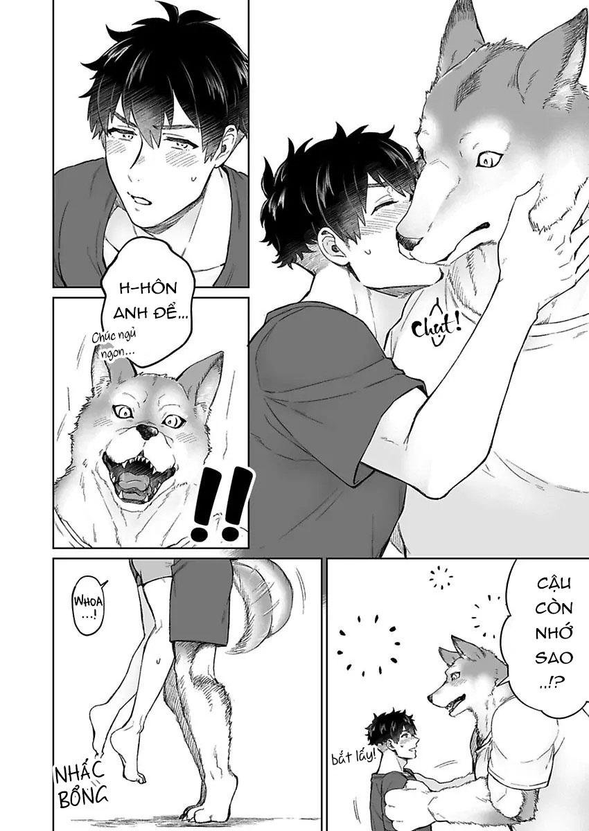 chồng sói cứ dính lấy tôi trên giường chapter 1 22