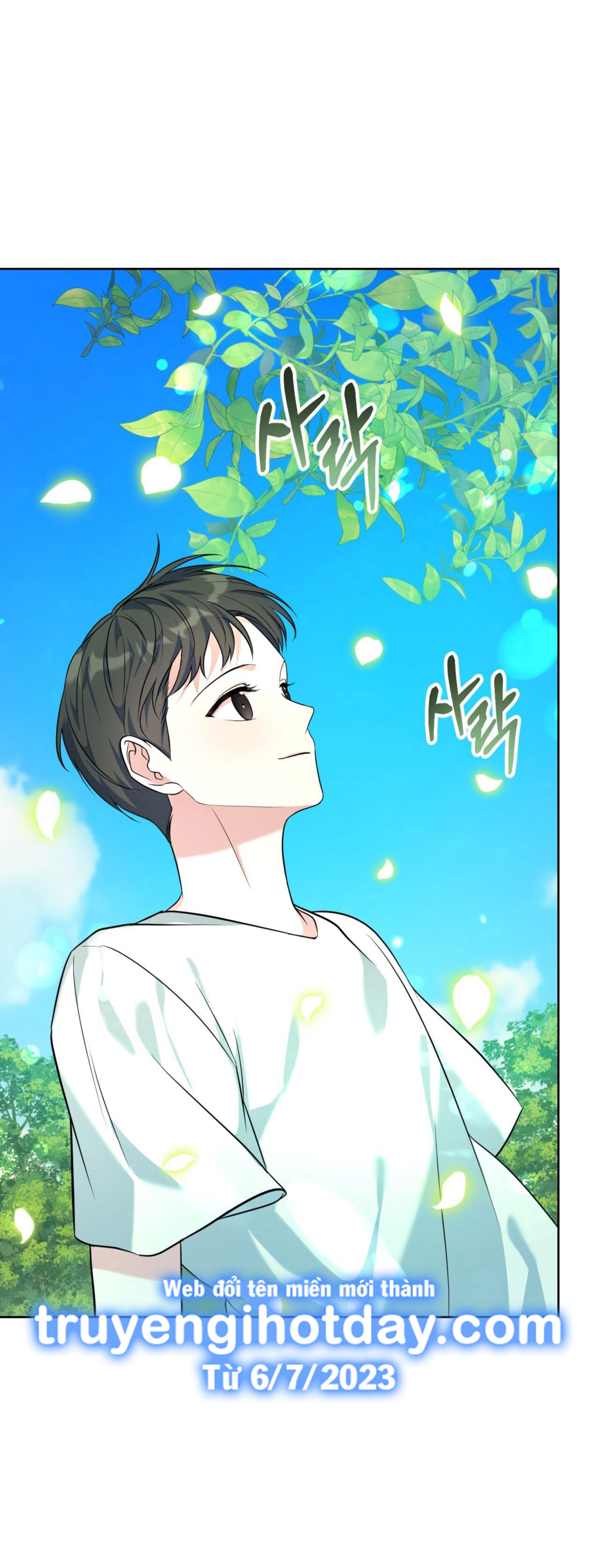 Khu Rừng Dịu Dàng chapter 1.1 - Trang 4