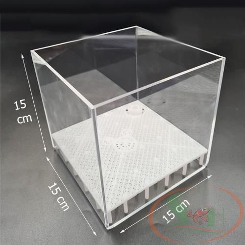 Hộp lọc đáy Taiwan DIY Undergravel Filter Box mica sủi đáy hồ cá tép