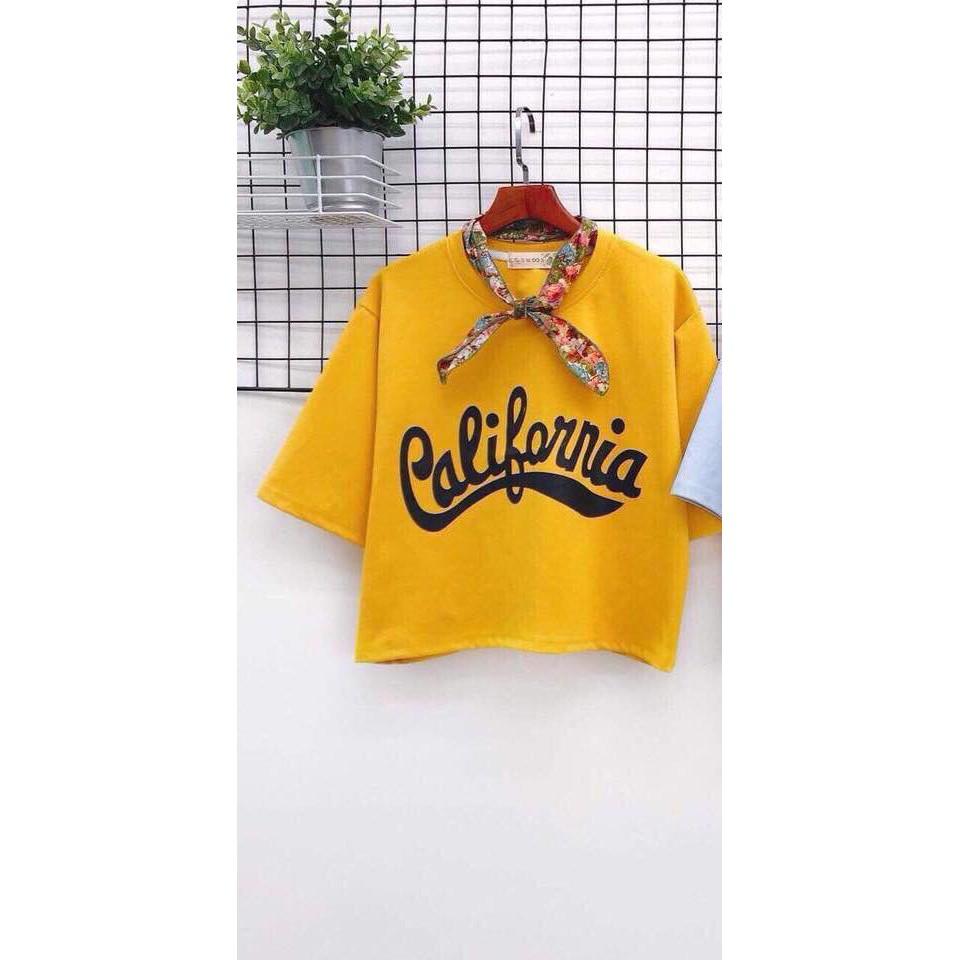 Áo thun nữ kiểu dáng croptop chất cotton tici 365.