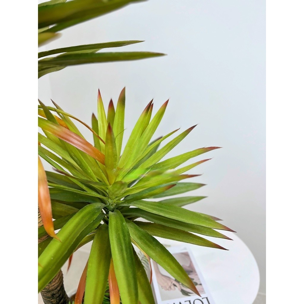 Cây phát tài núi giả - cao 150cm - gồm 2 nhánh - Cây giả, hoa lụa Decor trang trí nhà cửa