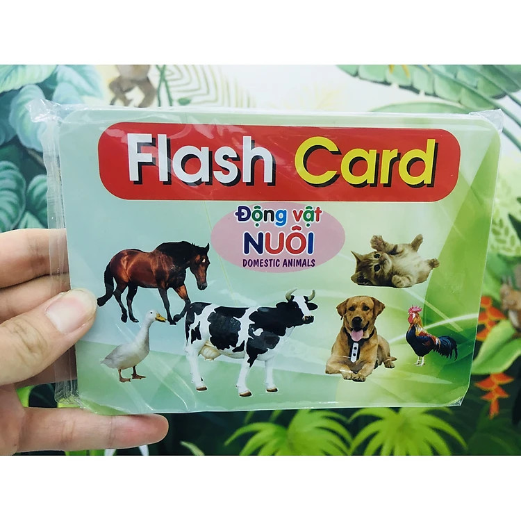 Bộ thẻ học thông minh cho bé từ 0 đến 3 tuổi, Bộ Thẻ Học Thông Minh Flashcard Song Ngữ Cho Bé - Hàng Chính Hãng dododios