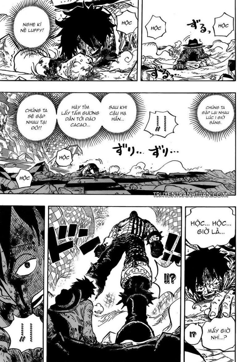 đảo hải tặc - one piece chapter 896 12