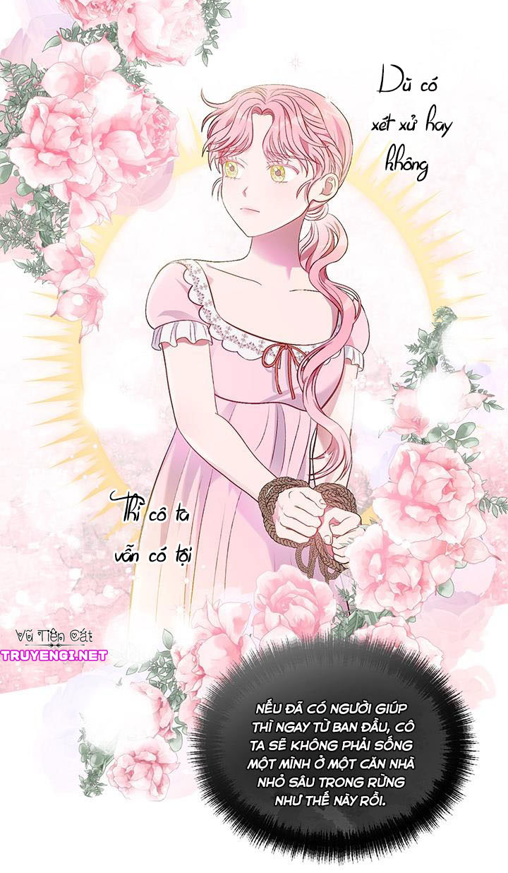 elizabeth chapter 13 5