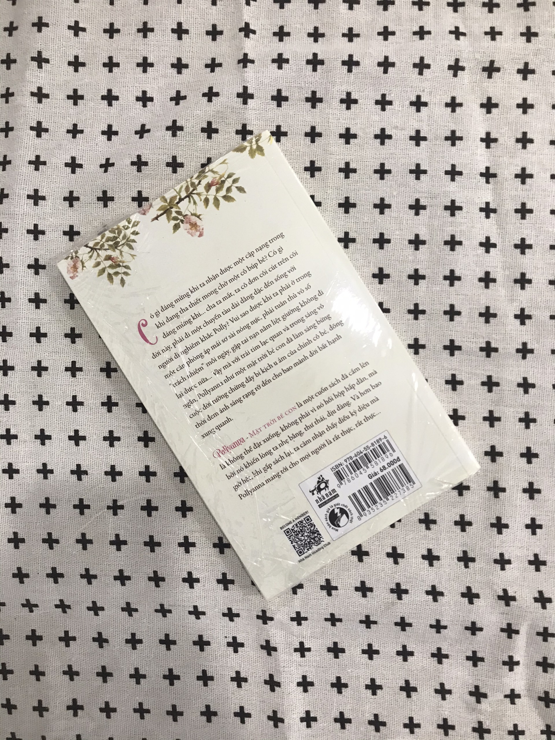 Pollyanna - Mặt trời bé con