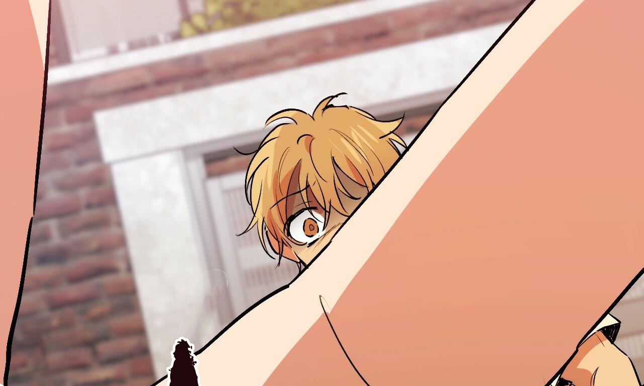 đàn thỏ của habibi chapter 44 270