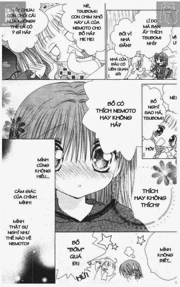 điều thầm kín của tsubomi chapter 11 2