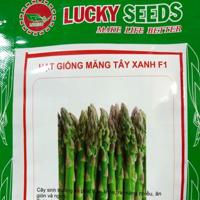 HẠT GIỐNG MĂNG TÂY XANH F1
