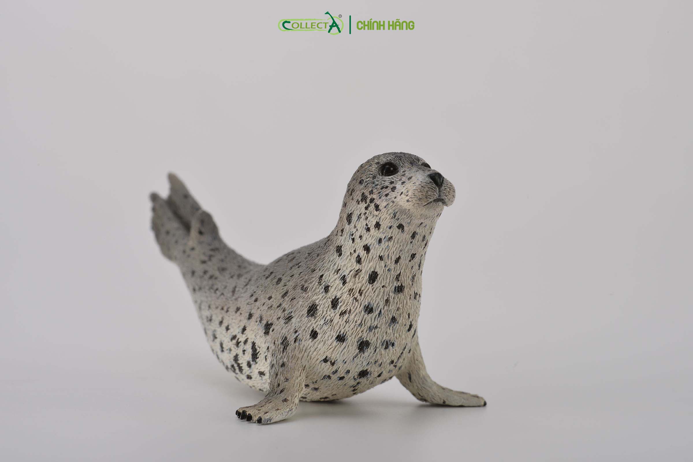 Mô hình thu nhỏ: Hải Cẩu Đốm - Spotted Seal, hiệu: CollectA, mã HS 9652130[88658] -  Chất liệu an toàn cho trẻ - Hàng chính hãng